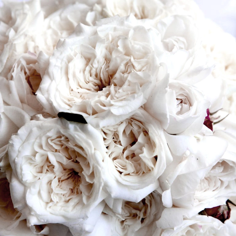 Why winter weddings are wonderful - flowers by Peter Rowland.
